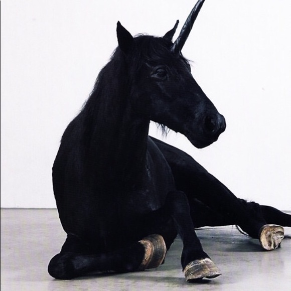 Meet your Posher, Sadako - Picture 1 of 1